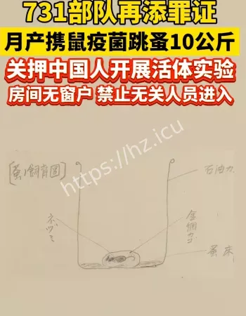 731再添罪证